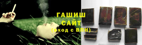 стаф Алзамай