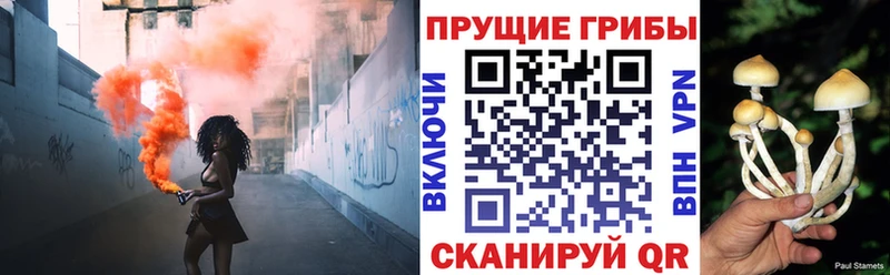 мега   Урюпинск  Псилоцибиновые грибы прущие грибы  как найти закладки 